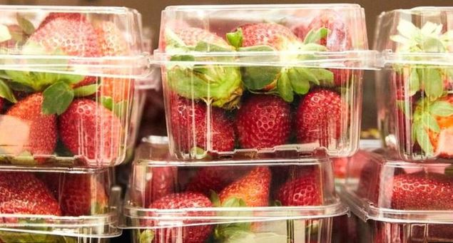 Se registraron más de un centenar de reportes de agujas escondidas en fresas en Australia. (Foto EPA)
