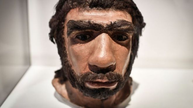 Los neandertales vivieron en Europa y el suroeste y centro de Asia. (Foto Prensa Libre: Getty Images)