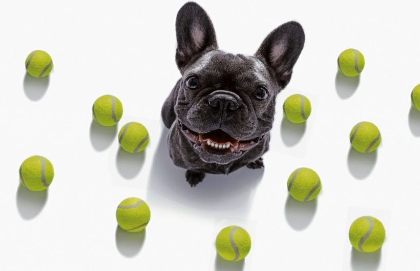 (Foto Prensa Libre: Shutterstock)