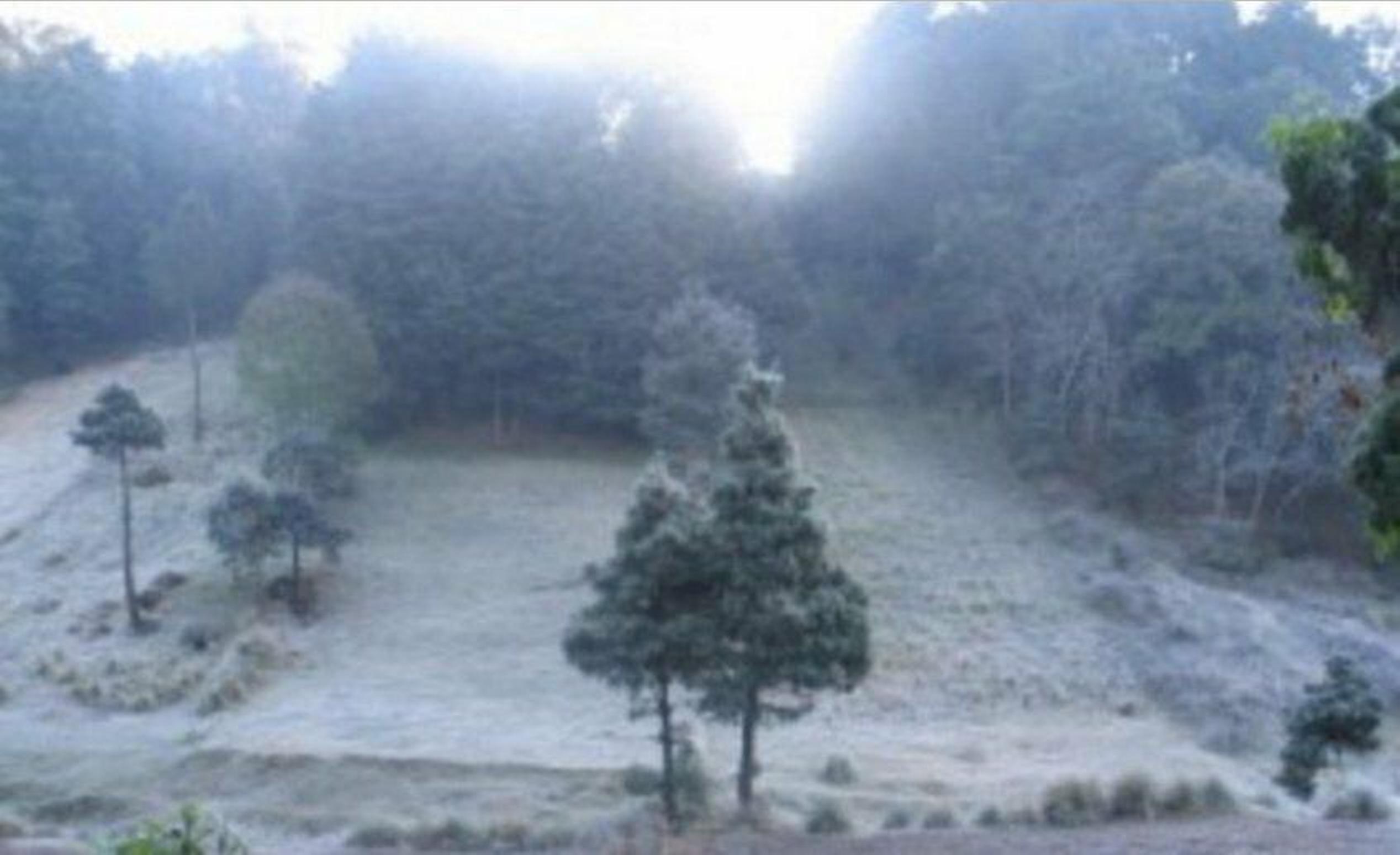 Este paisaje se observó en Sibilia, Quetzaltenango durante la mañana de este 30 de enero de 2019. (Foto Prensa Libre: cortesía Jesi Rodas) 