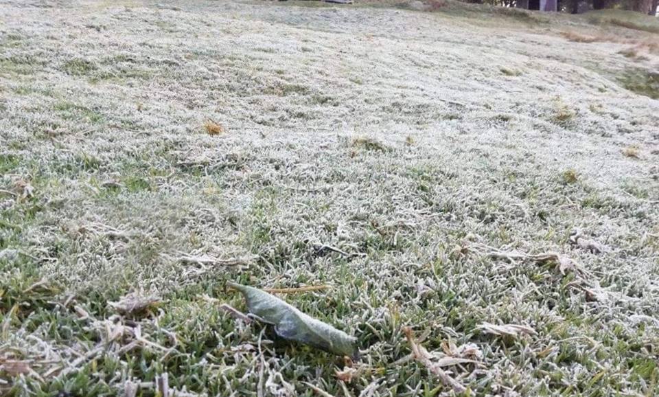 Terreno en Chulumal Tercero, Chichicastenango, Quiché, amaneció de blanco por las bajas temperaturas, (Foto Prensa Libre: Héctor Cordero).