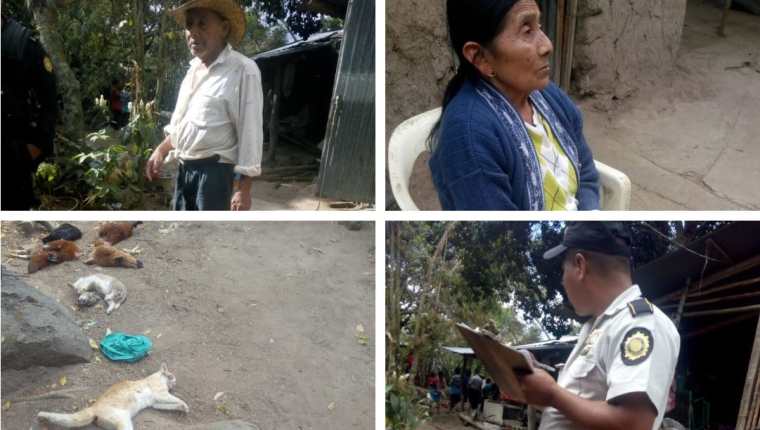Perros, gatos y gallinas fueron envenenados en el patio de una vivienda en El Pinalito, Chiquimula, propiedad de Roberto Díaz Pérez y Abelina Pérez García. (Foto Prensa Libre: Mario Morales)