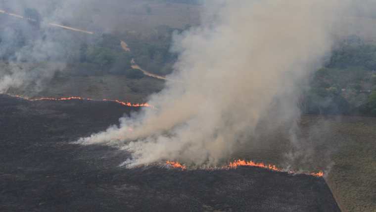 La mayoría de incendios forestales son provocados por las personas que usurpan el parque Laguna del Tigre y que intentan apropiarse de grandes extensiones de tierra. (Foto Prensa Libre: Esbin García)