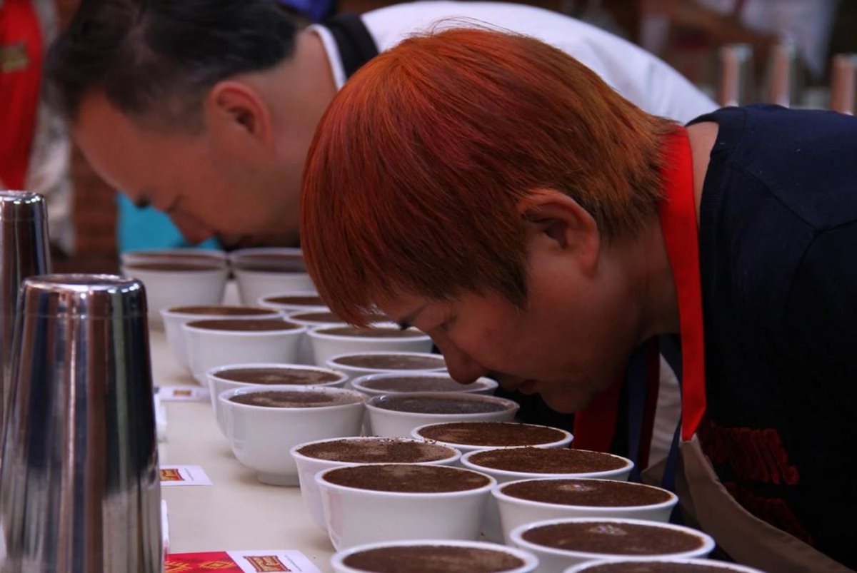 Los empresarios taiwaneses participaron en la catación de cafés, realizaron ruedas de negocios con productores nacionales y visitarán fincas productoras. (Foto Prensa Libre: Cortesía Anacafé)