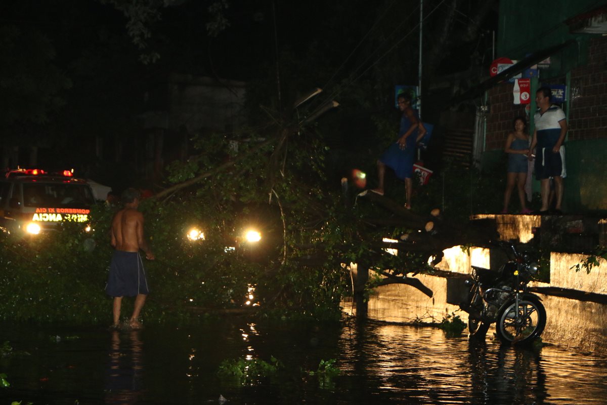 Vecinos cortan las ramas de un árbol que cayó en la calle principal de cantón Tableros de la zona 5 de la cabecera de Retalhuleu. (Foto Prensa Libre: Rolando Miranda)
