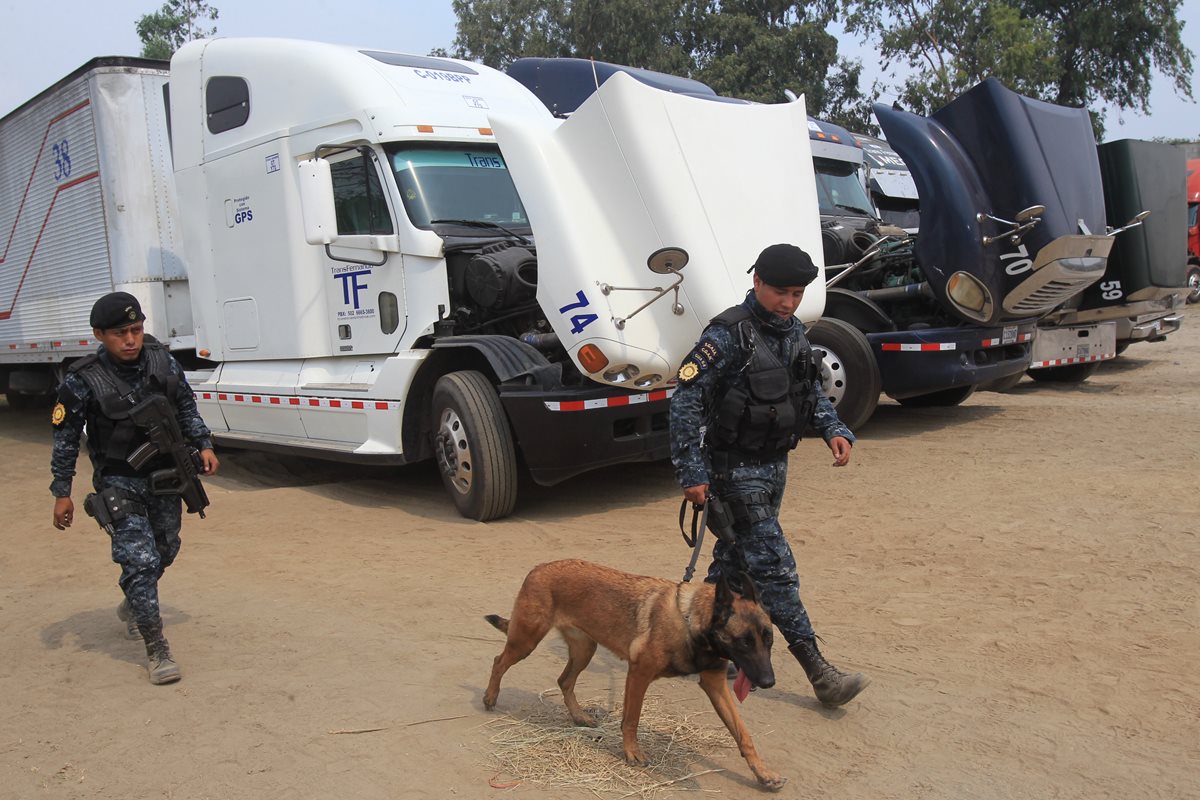 La policía ingresa al predio para ejecutar el allanamiento, en Las Nubes, Bárcenas, Villa Nueva. (Foto Prensa Libre: Cortesía PNC)