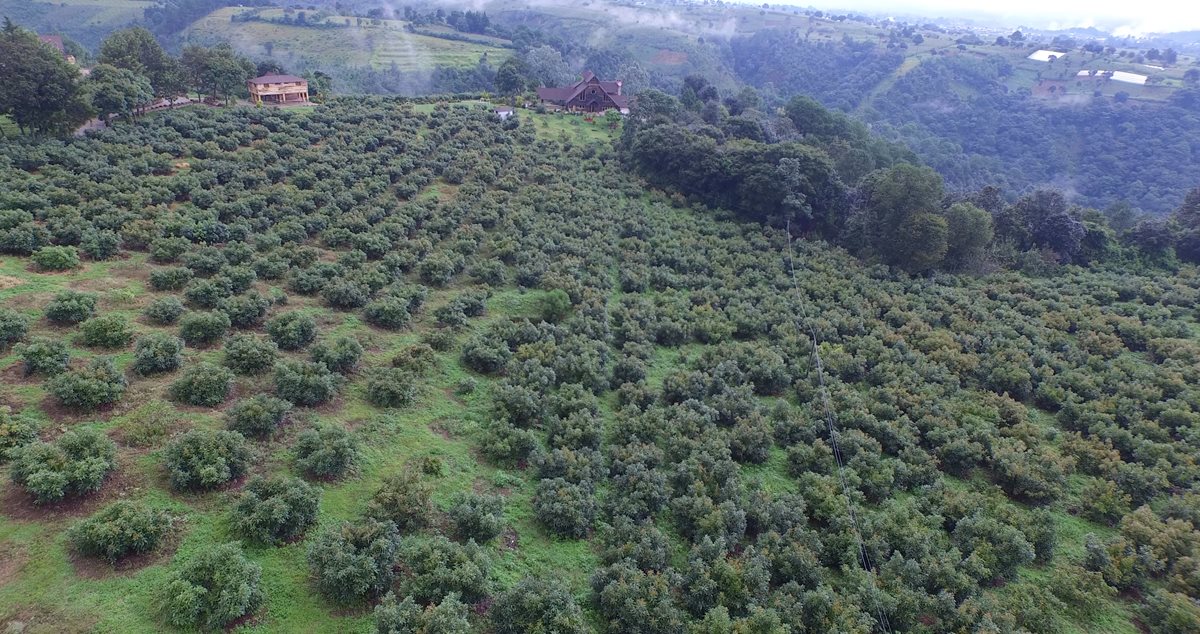 Finca de Otto Pérez en Zaragoza, Chimaltenango. (Foto Prensa Libre: Hemeroteca PL)
