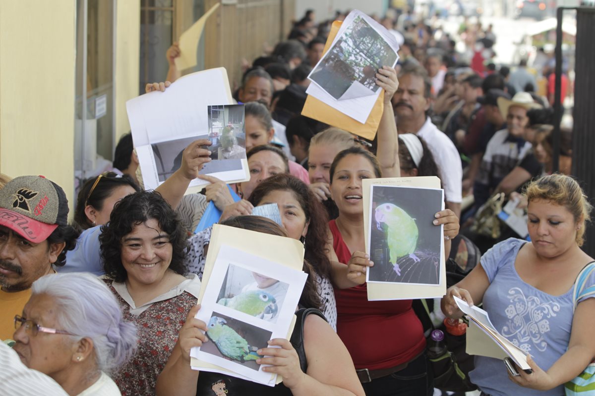 Masiva afluencia de personas se reportó el lunes en la sede central de Conap. (Foto Prensa Libre: Hemeroteca PL)