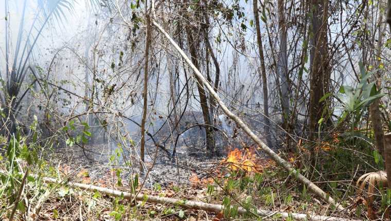 Dos incendios se reactivaron en la Reserva de la Biosfera Maya. (Foto Prensa Libre: Rigoberto Escobar)