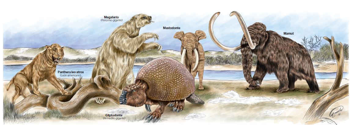 Ilustración Esteban Arreola