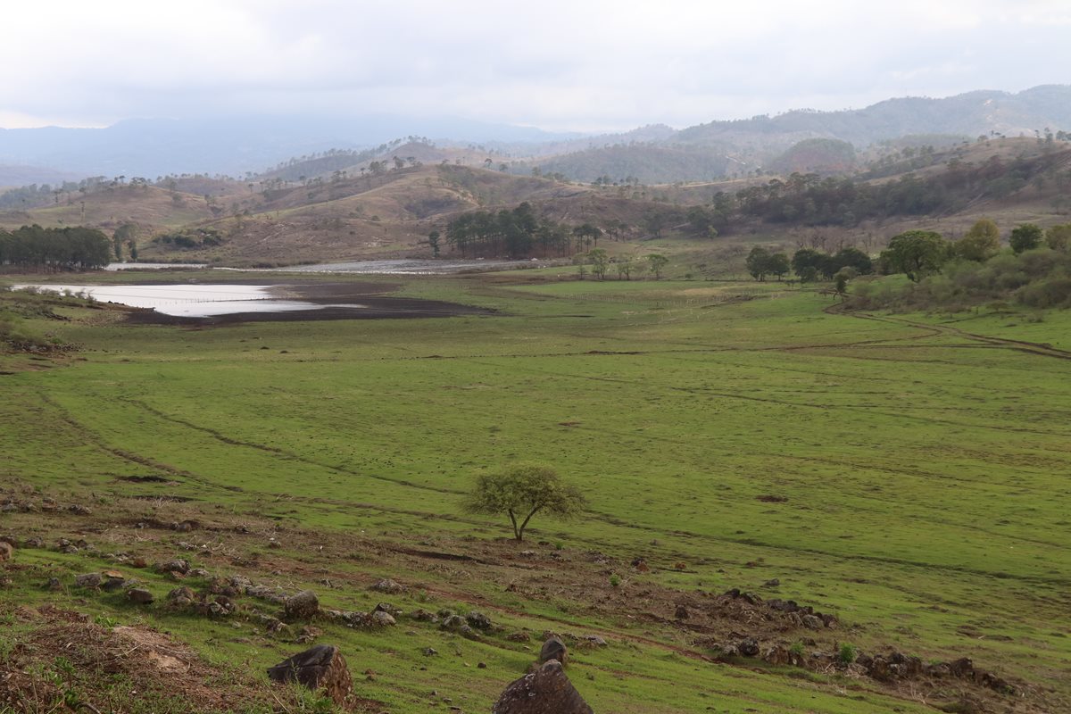 La laguna Los Achiotes cada vez pierde más agua y está a punto de secarse. (Foto Prensa Libre: Hugo Oliva)