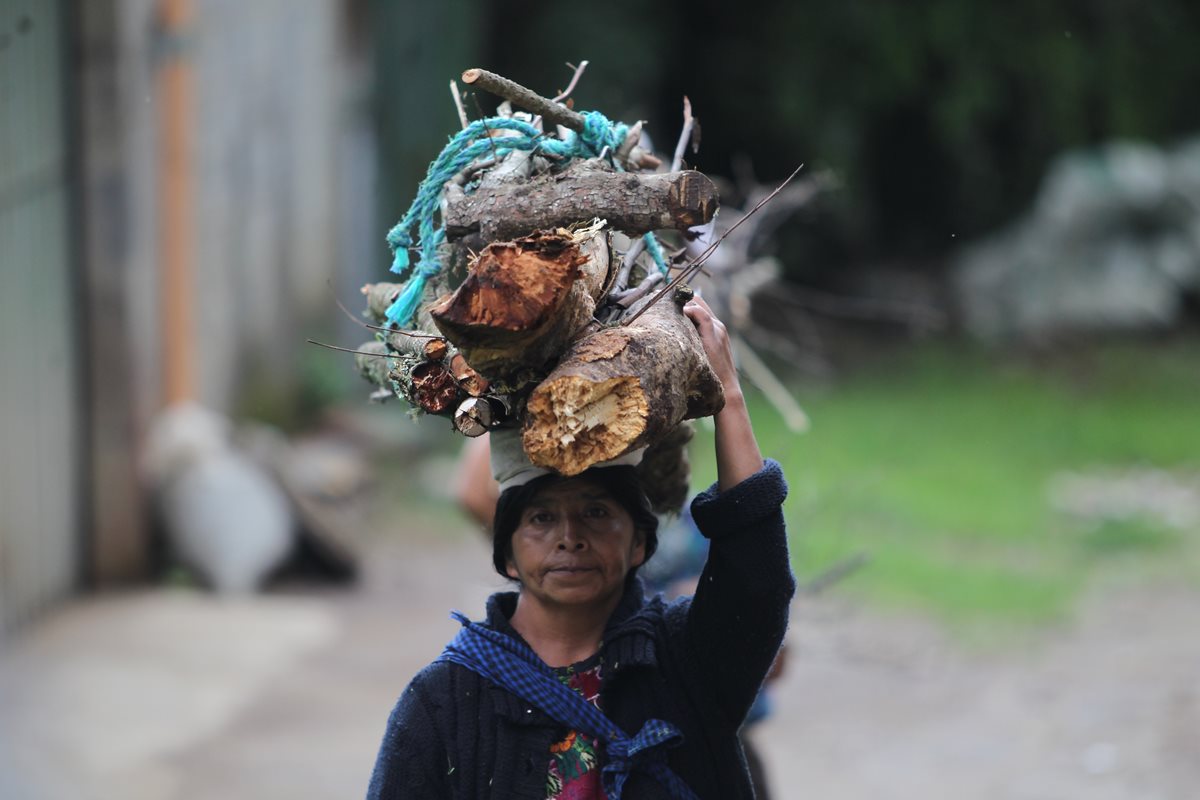 El uso de leña es una práctica común en las comunidades situadas alrededor de la cordillera Alux. (Foto Prensa Libre: Érick Ávila)