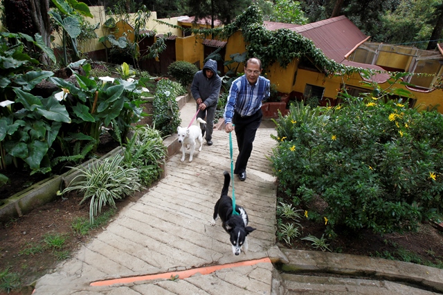 El hospedaje de mascotas se encuentra en crecimiento. (Foto Prensa Libre: Paulo Raquec)