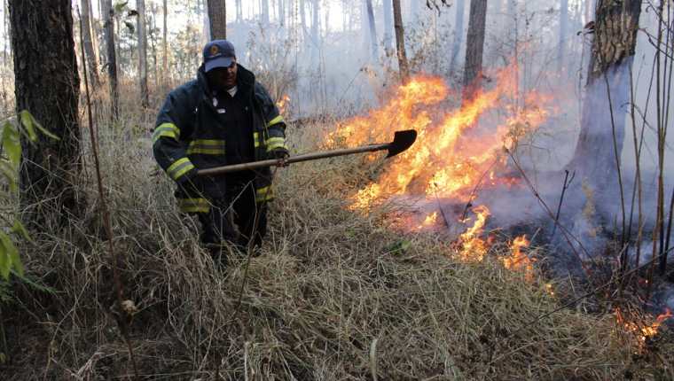 Socorristas aseguran que cada año atienden unos 40 incendios forestales en el bosque municipal. (Foto Prensa Libre: Víctor Chamalé)