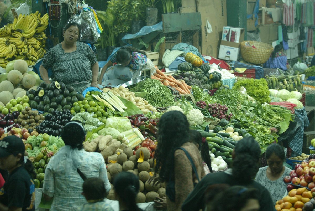 La economía nacional se desaceleró en enero último, según la banca central. (Foto Prensa Libre: Hemeroteca PL)