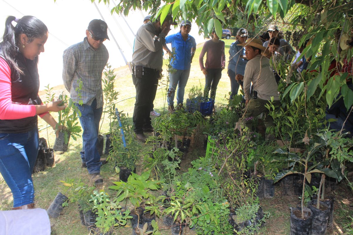 Expertos y estudiantes participaron en el primer encuentro agroforestal en Sololá. (Foto Prensa Libre: Ángel Julajuj)