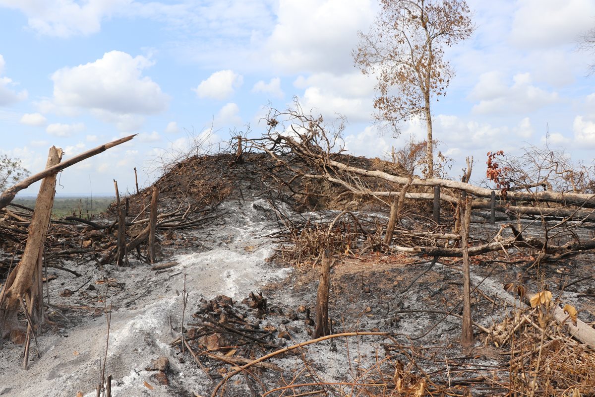 Un área devastada por los incendios en Petén. (Foto Prensa Libre: Rigoberto Escobar)