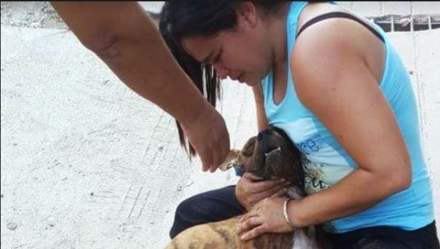 Una vecina intenta rescatar a uno de sus perros envenenado en Chiquimula. (Foto Prensa Libre: Mario Morales)