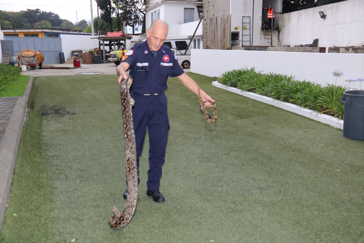 El Mayor Héctor Chacón ha protegido a cientos de serpientes durante 35 años.(Foto Prensa Libre:CBM)
