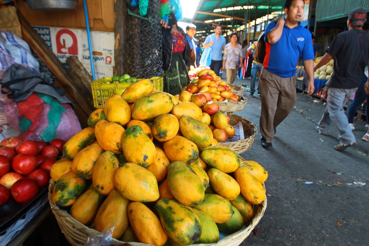Productores de mango esperan superar exportaciones de mango este 2017 y abastecer el mercado local. (Foto Prensa Libre: Álvaro Interiano)