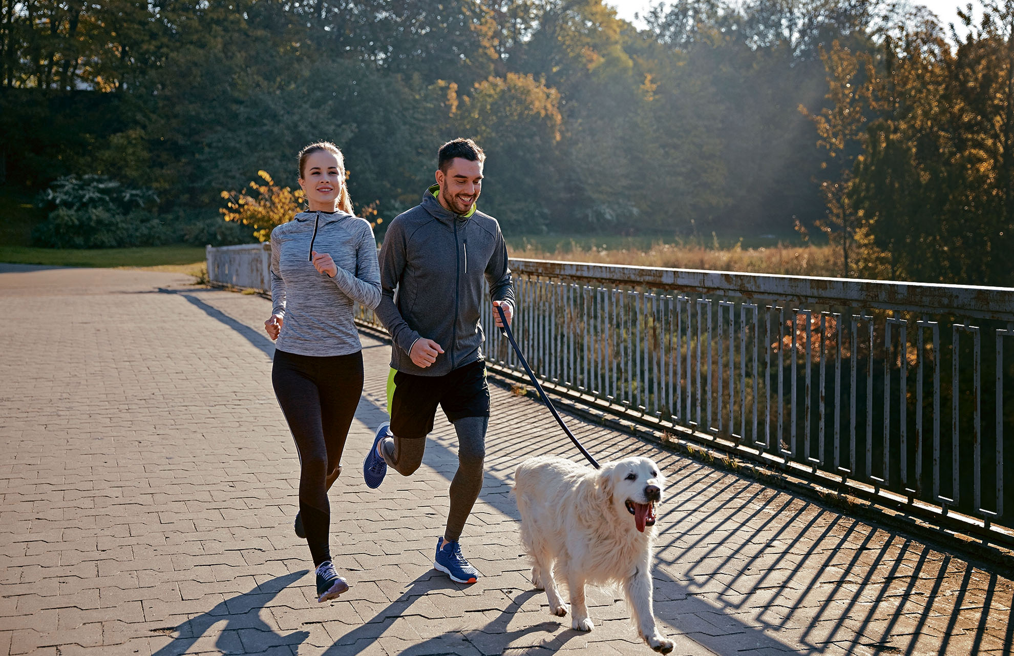 (Foto Prensa Libre: Shutterstock)