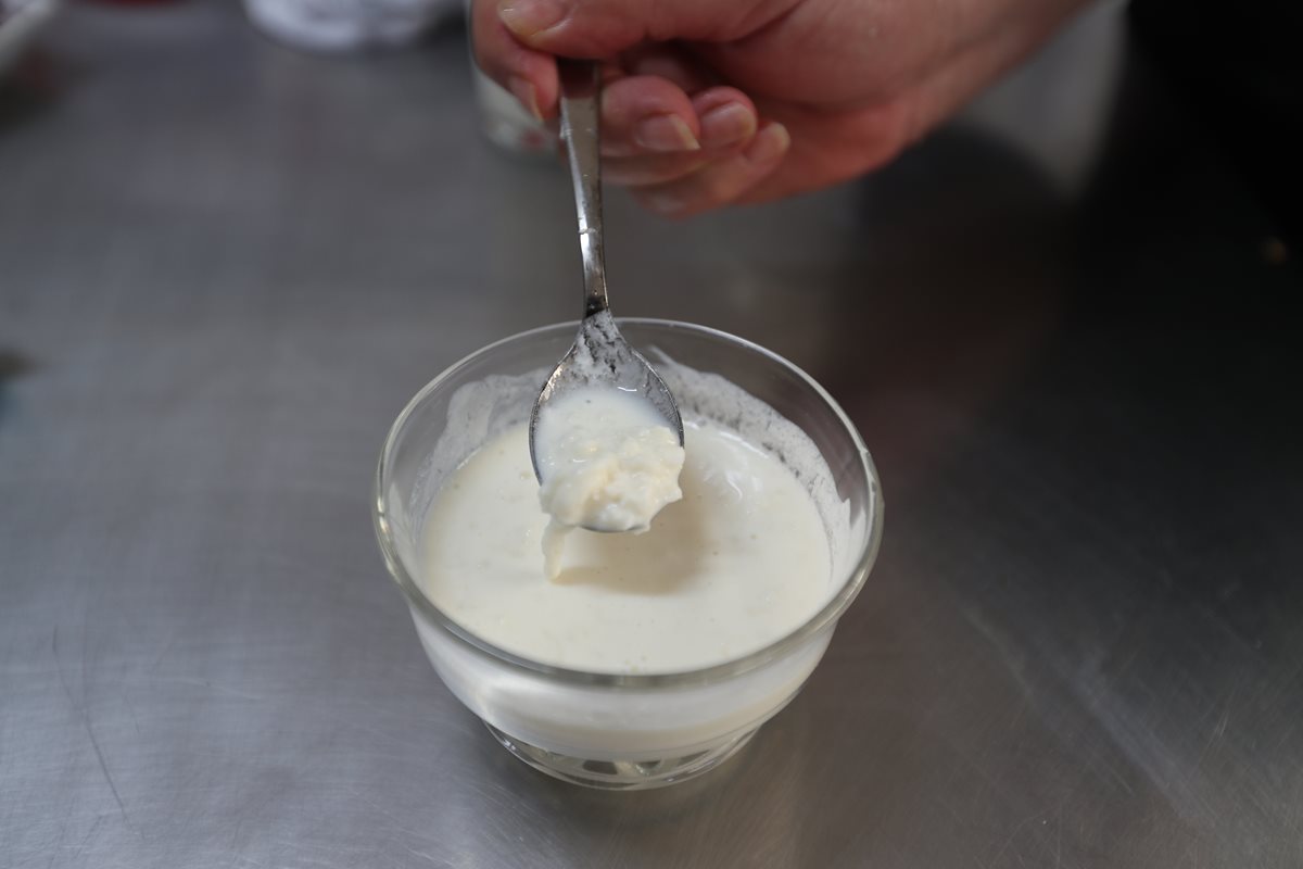 En esta imagen se pueden observar las bacterias que se encargan de fermentar la leche para obtener yogur. (Fotos Prensa Libre, Brenda Martínez)