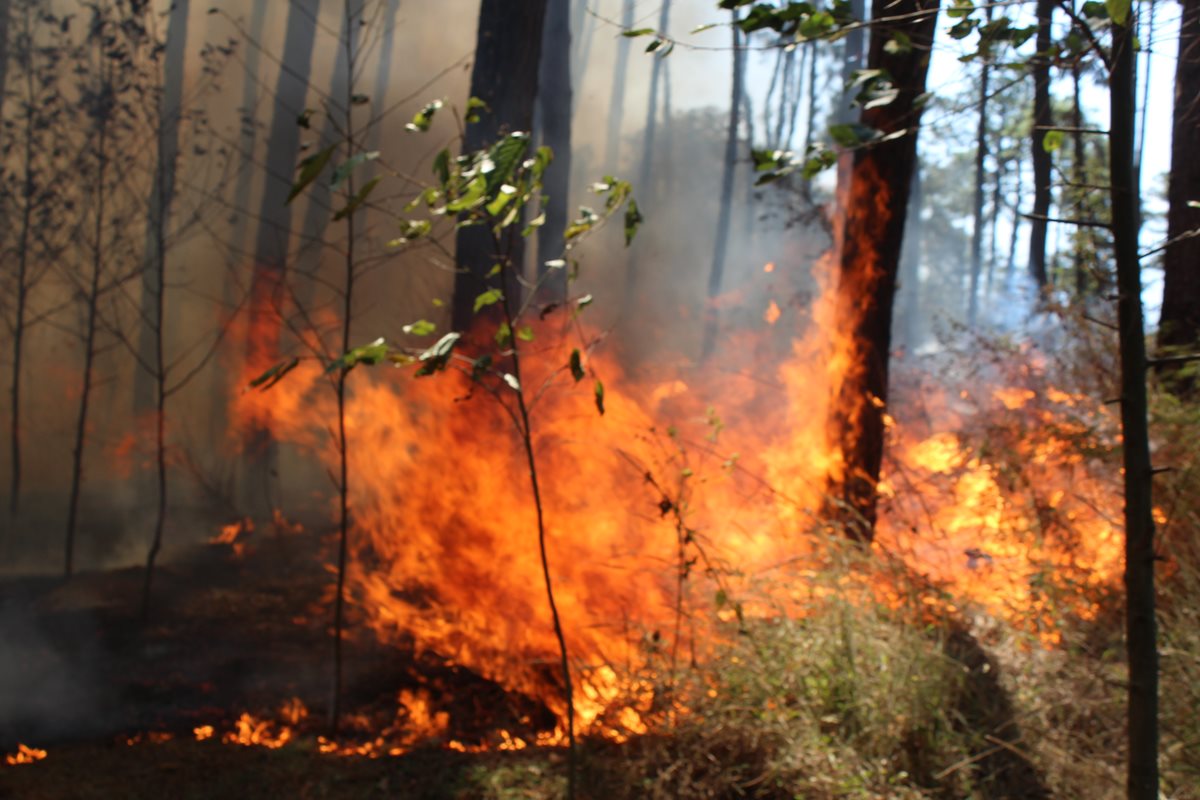 El incendio permanece activo en un área boscosa de El Tejar, Chimaltenango. (Foto Prensa Libre: José Rosales)