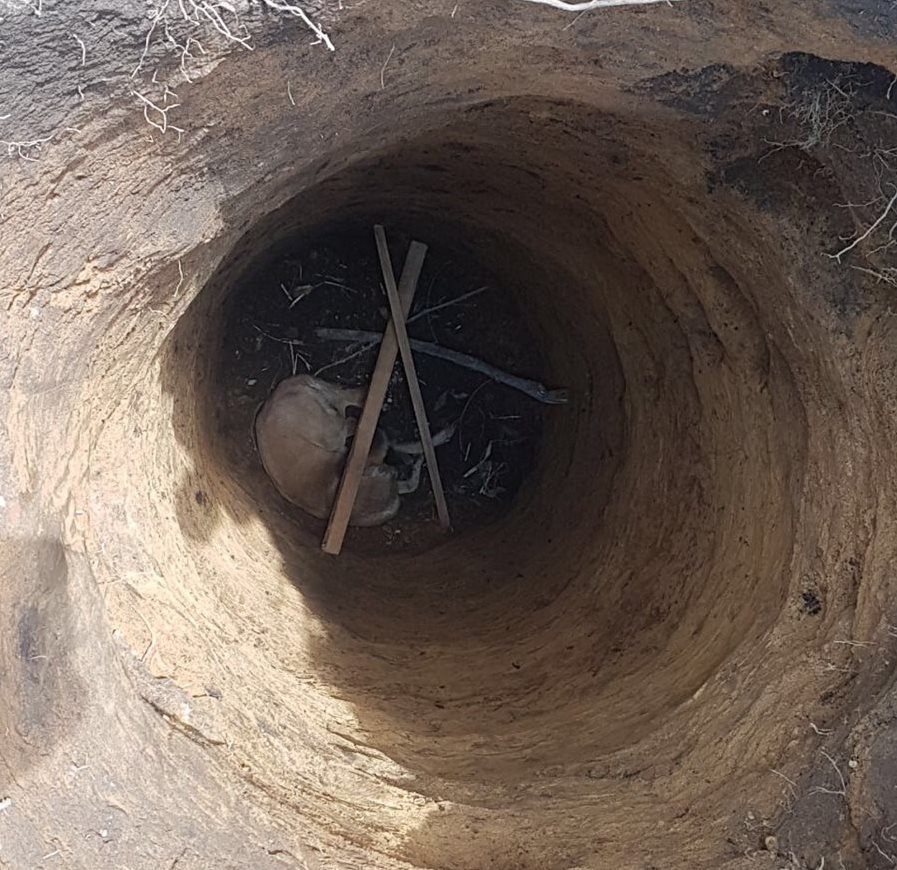 Cuando los vecinos vieron al perro en el agujero, parecía estar muerto, pero luego reaccionó. (Foto Prensa Libre: Eduardo Sam)