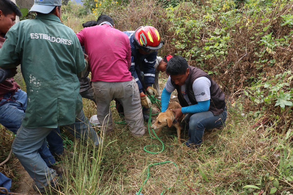 Con ayuda de algunos vecinos, los socorristas lograron rescatar al perro que por accidente cayó a un pozo artesanal en un terreno baldío, en Sumpango, Sacatepéquez. (Foto Prensa Libre: Víctor Chamalé)