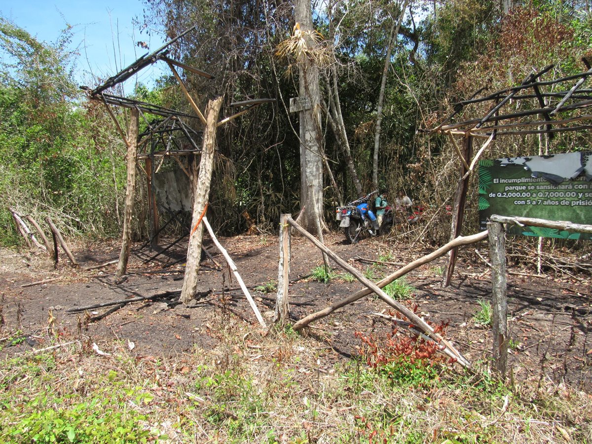 Seis ranchos de información fueron destruidos en el Parque El Mirador Río Azul, Petén. (Foto Prensa Libre: Rigoberto Escobar)