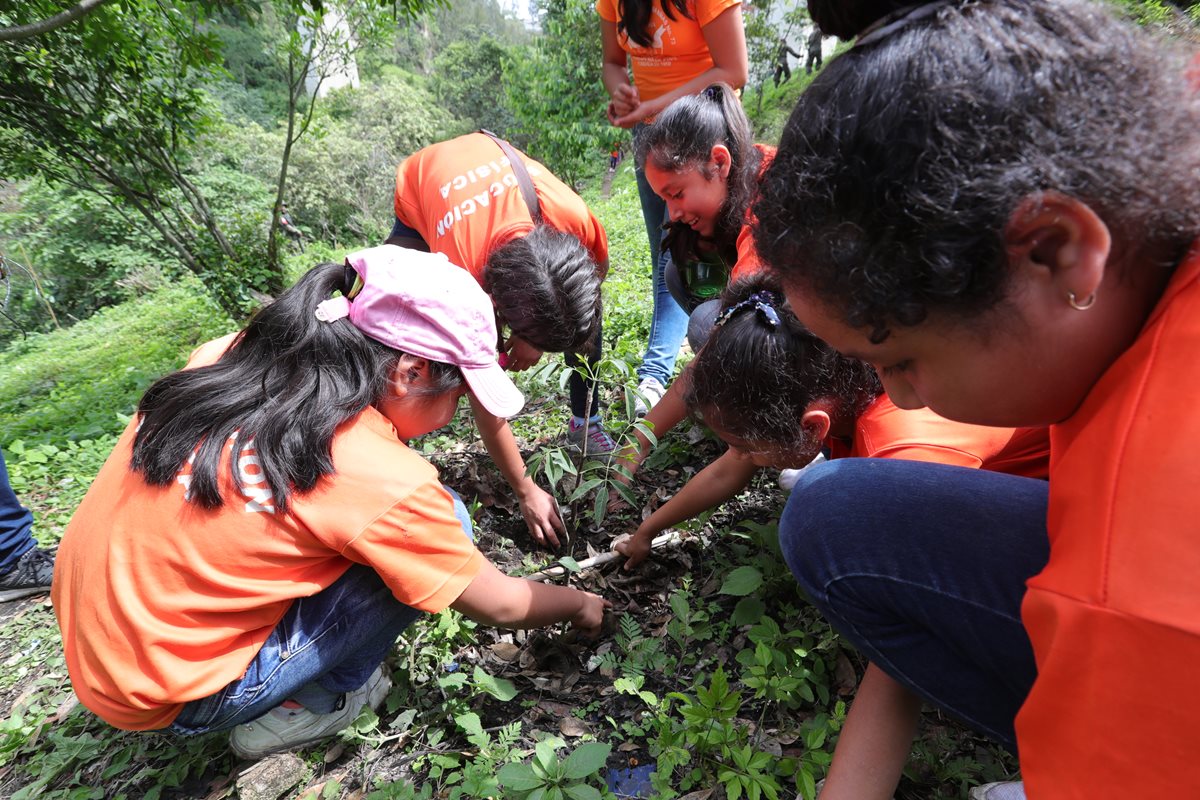 Grupo de niñas planta un árbol en el Parque Ecológico La Asunción, zona 5 de la capital. (Foto Prensa Libre: Estuardo Paredes).
