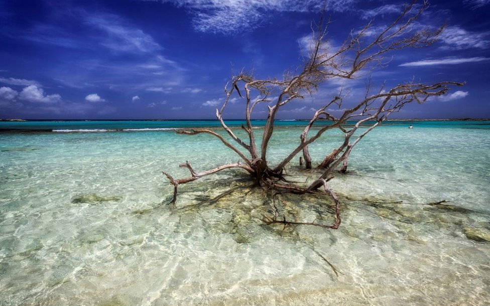 Aruba, Bonaire y Curazao son uno de los destinos favoritos de los turistas que visitan el Caribe. GETTY IMAGES