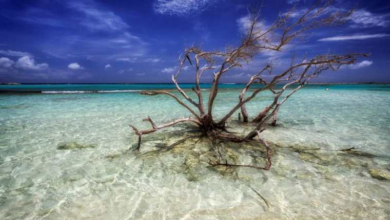 Aruba, Bonaire y Curazao son uno de los destinos favoritos de los turistas que visitan el Caribe. GETTY IMAGES