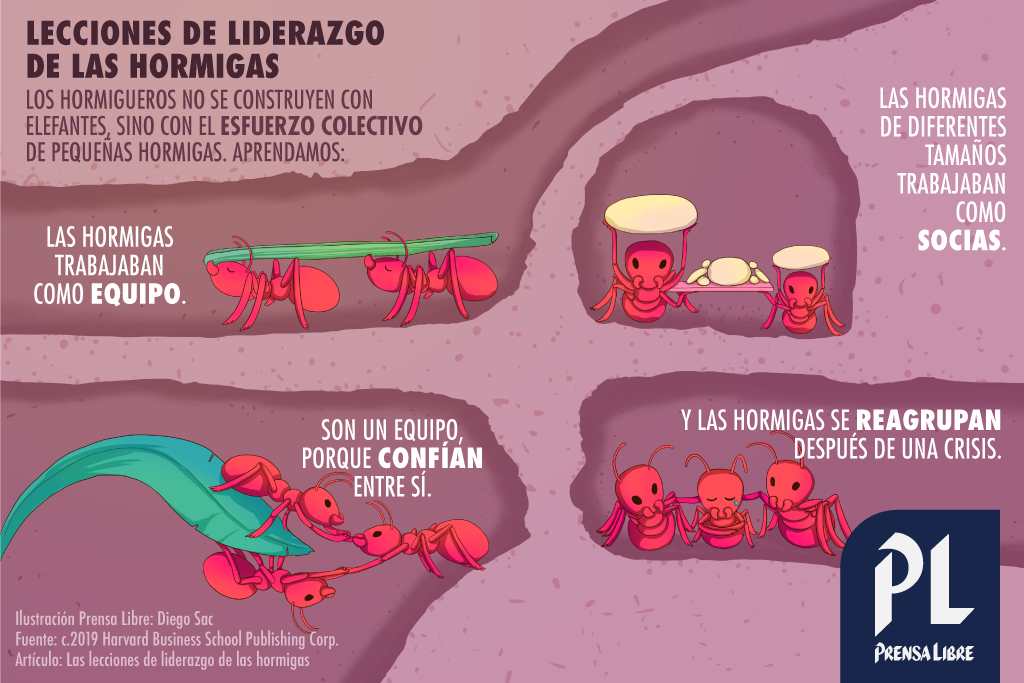 (Ilustración Prensa Libre: Diego Sac)