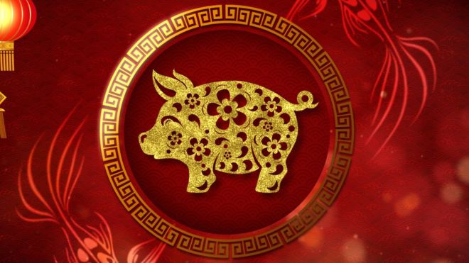 ¿Eres cerdo en el horóscopo chino? GETTY 