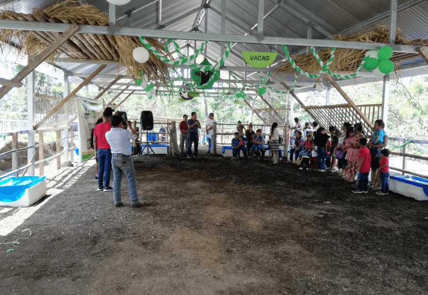 Habilitan albergue para 300 animales en Panimaché, una comunidad donde se vive bajo el acecho del Volcán de Fuego