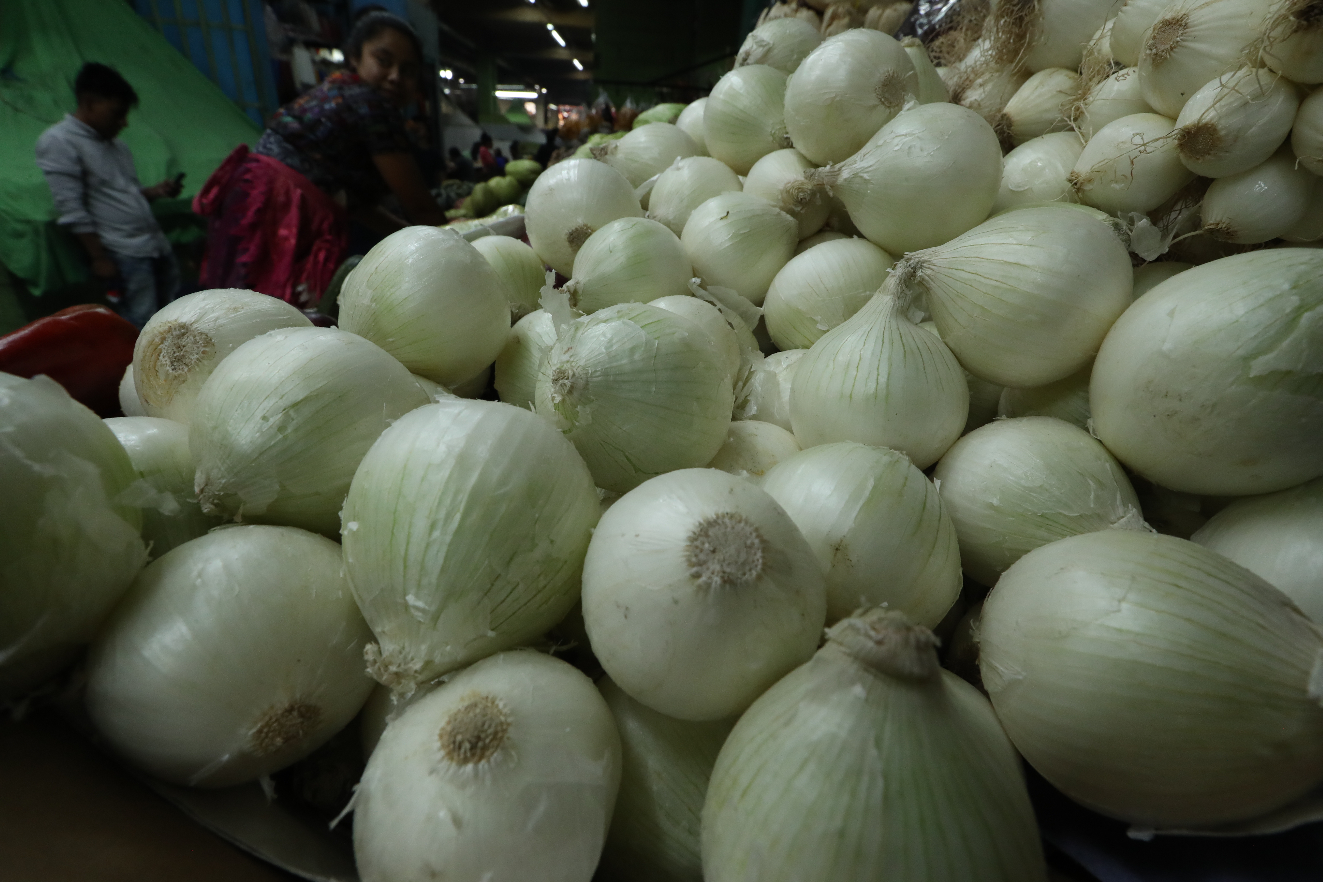 La cebolla fue uno de los productos que registró baja en mayo, según el INE. (Foto Prensa Libre: Esbin García)