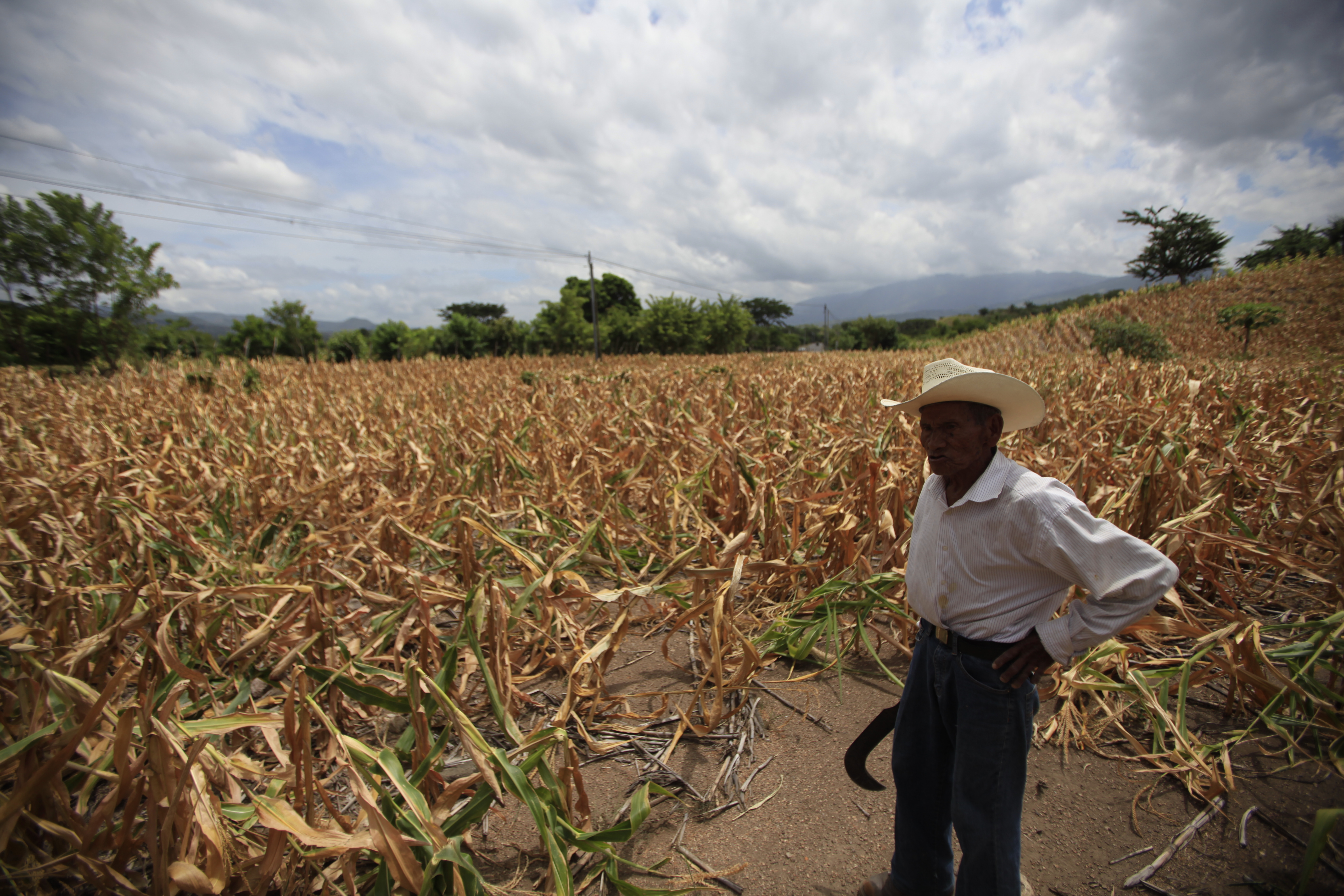 Los agricultores de subsistencia se vieron afectados este año por la sequía. (Foto Prensa Libre: Hemeroteca)