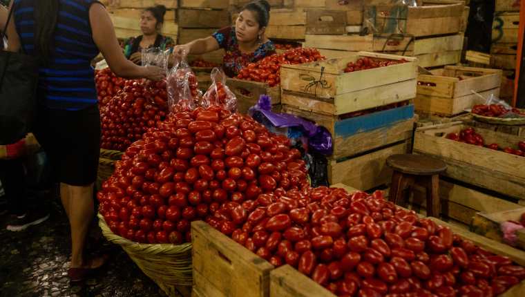La caja de tomate se cotizó en Q187 en el Mercado La Terminal de la zona 4 y en julio registró un incremento, según los reportes del Maga e INE. (Foto Prensa Libre: Hemeroteca) 
