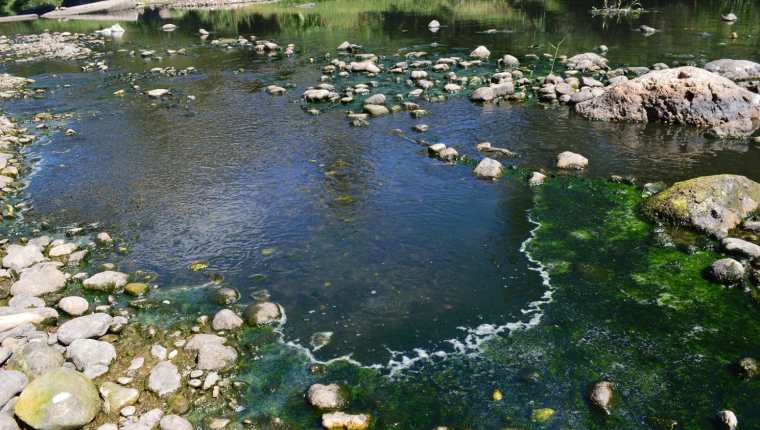 Campesinos aseguran que a simple vista se puede observar el alto grado de contaminación en el río Lempa, causada por el lanzamiento de aguas mieles del café. (Foto Prensa Libre: Mario Morales)