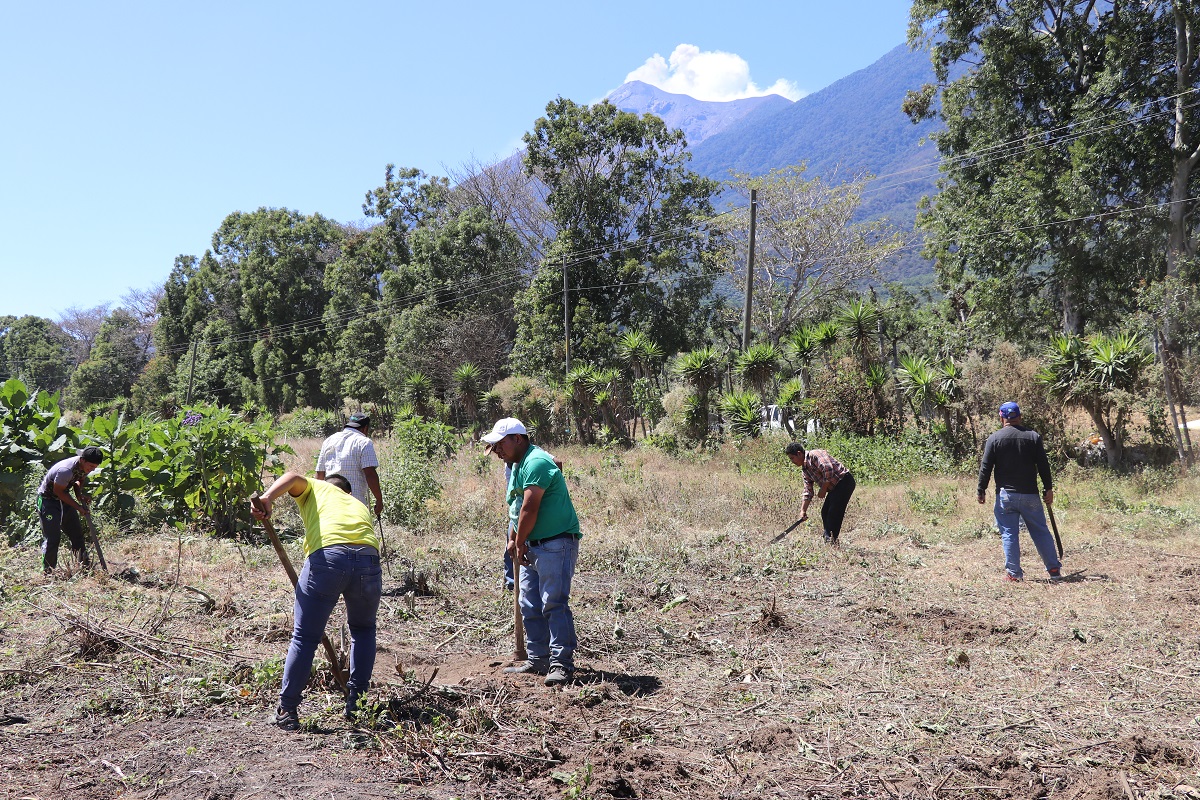 Personas afectadas por la erupción del Volcán de Fuego limpian terreno donde se construirán viviendas. (Foto Prensa Libre: Julio Sicán).