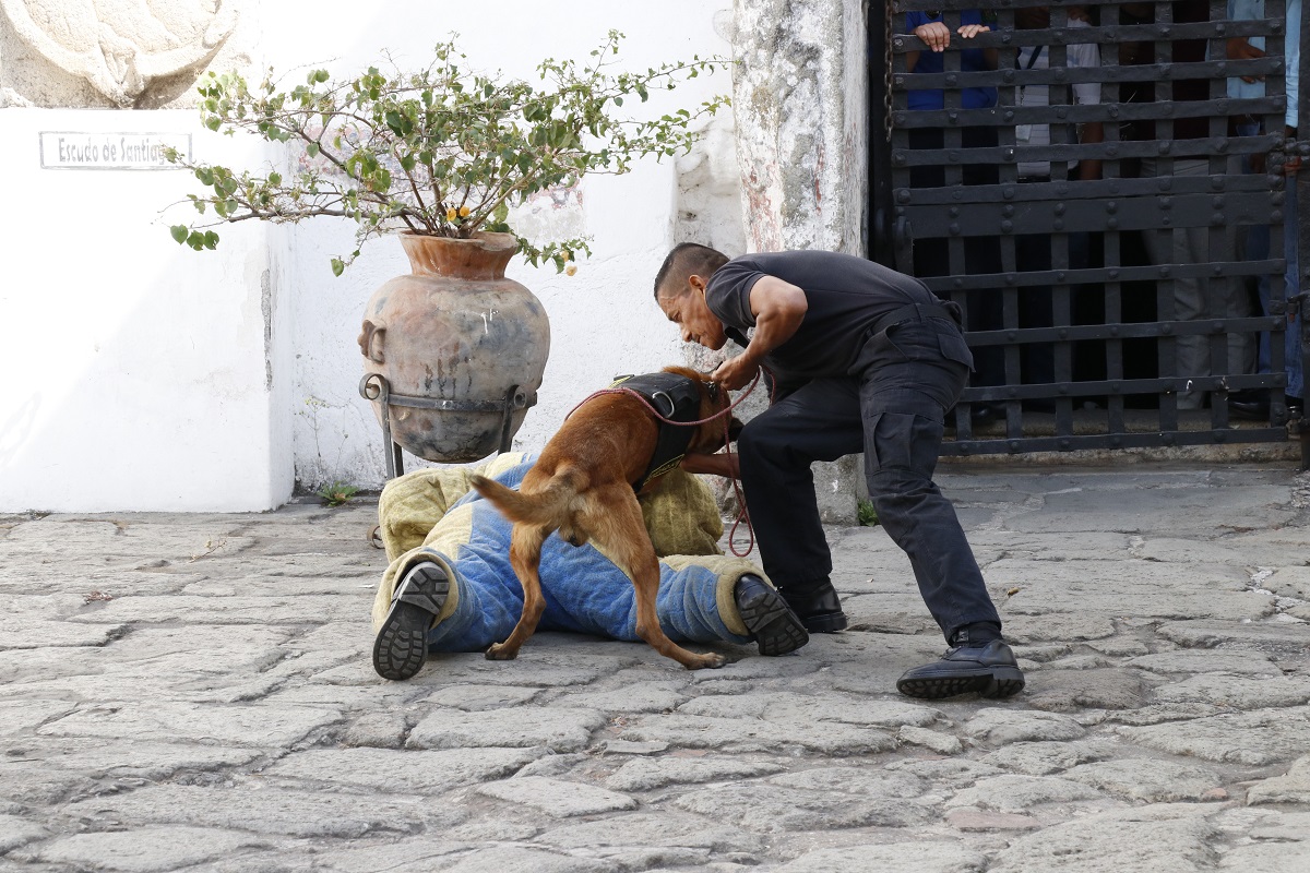 Instructores de la empresa Blackthorne Security llevan a cabo una muestra de entrenamiento ante las autoridades municipales de Antigua Guatemala. (Foto Prensa Libre: Julio Sicán).