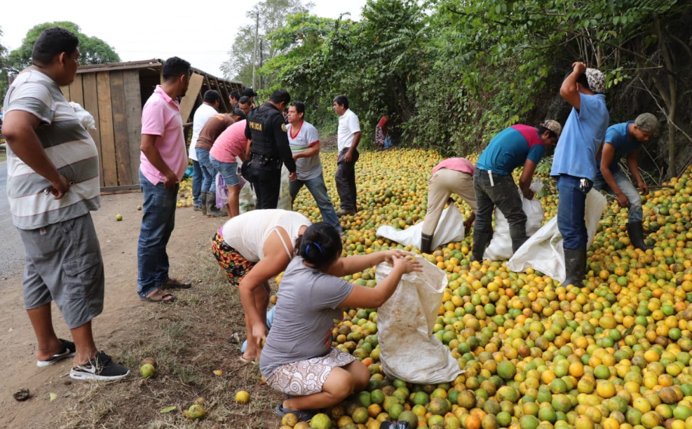 Personas recogen naranjas de camión accidentado en la ruta a Morales. (Foto Prensa Libre: Dony Stewart).