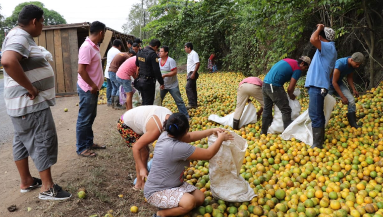 Personas recogen naranjas de camión accidentado en la ruta a Morales. (Foto Prensa Libre: Dony Stewart).