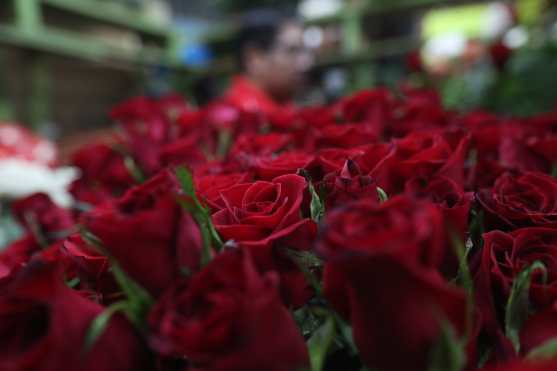 El ramo de rosas rojas es el más solicitado en el Día del Cariño. (Foto Prensa Libre: Érick Ávila)