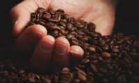 Según cafetaleros colombianos si se logra que el país fije el precio de referencia para la venta de su café tendrá una actividad más sana. (Foto Prensa Libre: Hemeroteca) 