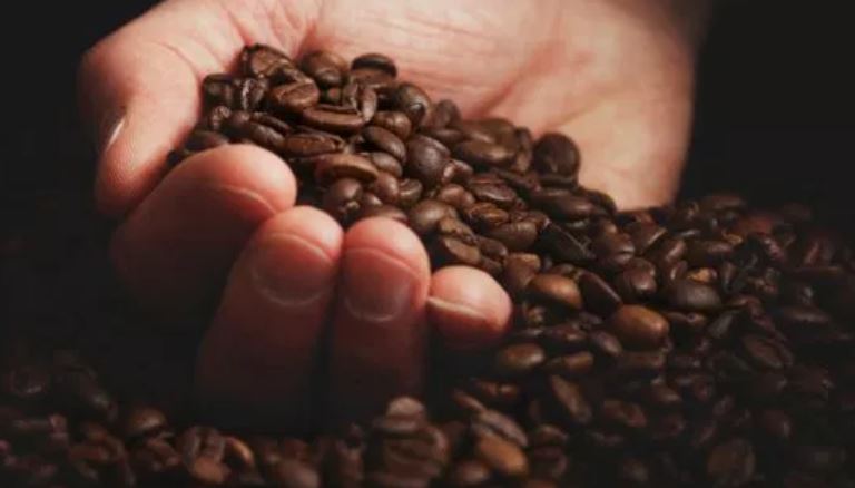 ¿Puede el café de Guatemala abandonar la referencia de precios de Nueva York, como lo propone Colombia?