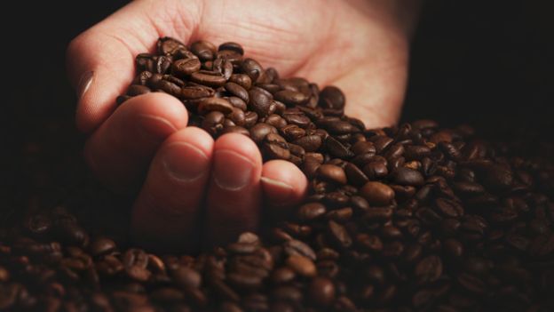 La exportación de café para 2019, será de 4.4 millones de quintales, según la estimación de Anacafé. (Foto Prensa Libre: Science Photo Library)