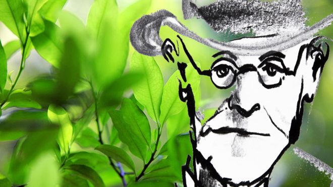 Freud quiso investigar a fondo la planta que tradicionalmente se usaba en Sudamérica. (Foto Prensa Libre: Getty Images)