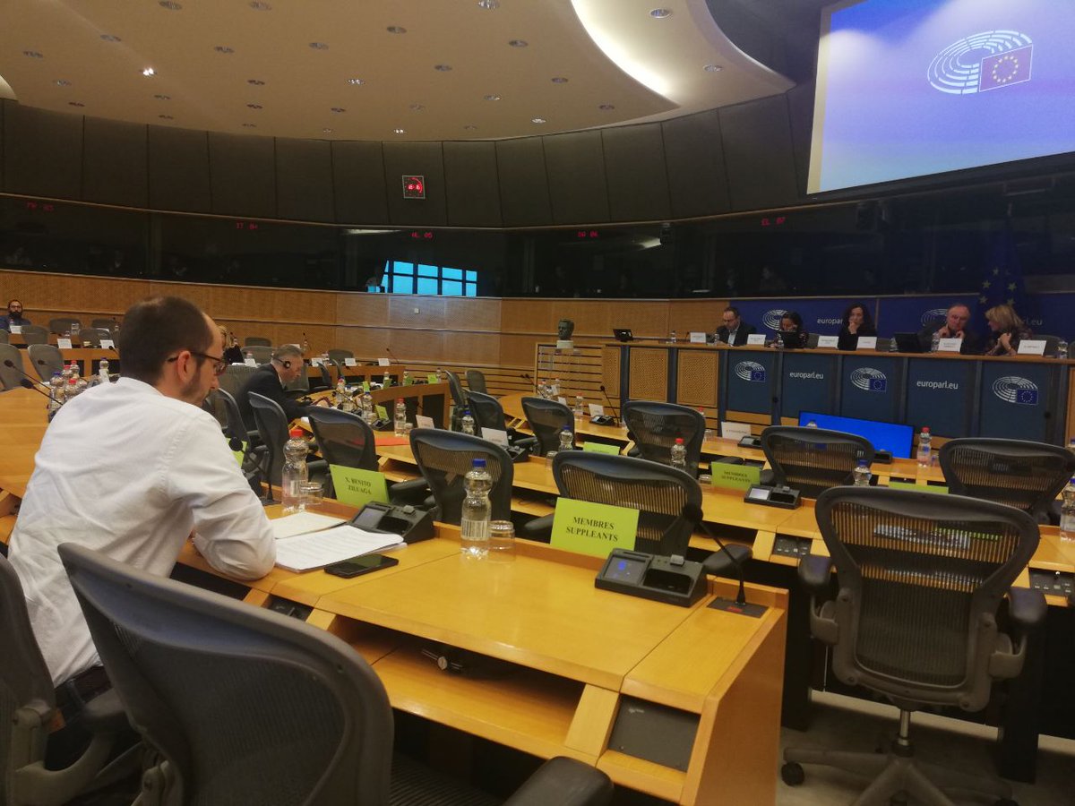 Xabier Benito Ziluaga (de espaldas) expone su informe sobre Guatemala a la Comisión de Asuntos Exteriores del Parlamento Europeo. (Foto: @xabierbenito).
